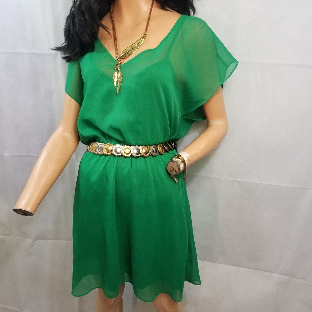Kelly green Express Dress Medium